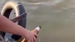 THE BEST FISHERMAN IN THE WORLD