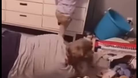 Cute baby and father funny fight