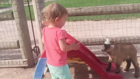 Funniest Baby play with animals