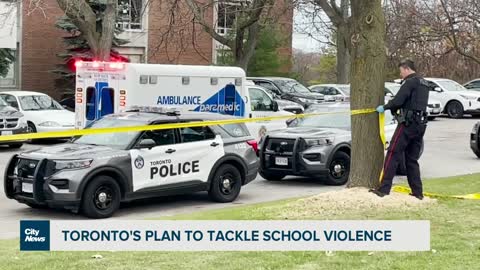 City commits to tackle growing violence in Toronto's schools