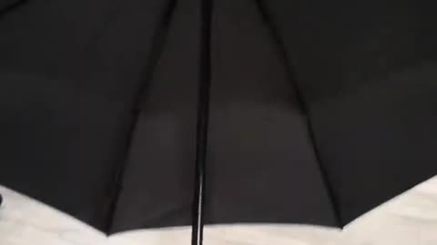 Funny umbrella
