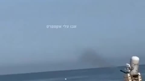 The air defense of a newly built dock in Gaza intercepted an aerial target for the first time