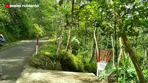 kampung buddha tengah hutan