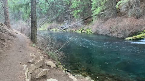 Gorgeous River Hiking – Metolius River National Recreation Area – Central Oregon – 4K