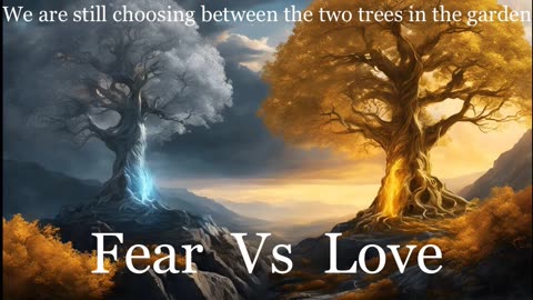 Fear Vs Love