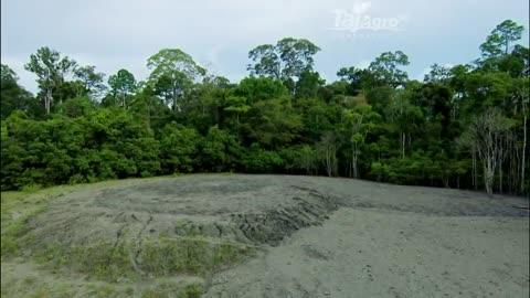 Indonesia natural view