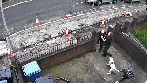 Police officer gets attacked by dog and chaos ensues