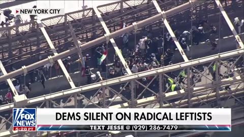 Democrats remain silent on radical protesters