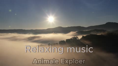 The Impact of Music ASMR on Your Life_Relaxing music