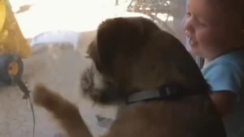 Baby Laughing Hysterically😝 Over Dog Scratching Window!