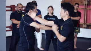 Wing Chun - Finger thrusts and palms - Kevin Lee and Sifu Francis Wong