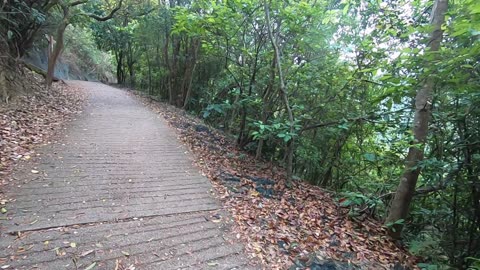 BRAEMER HILL HIKE FROM CAUSEWAYBAY