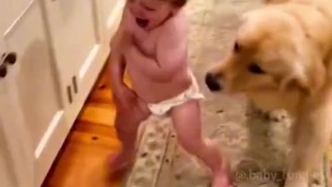Funny babies video /comedy trending video