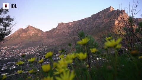 Watch: Extinction Rebellion Demonstrate at Adderley Street Water Fountain in Cape Town