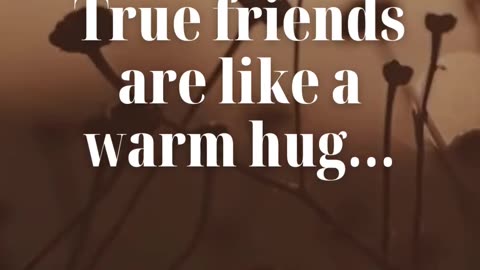 The Magic of True Friendship: A Heartfelt Hug in Human Form. #shorts #friends #viral