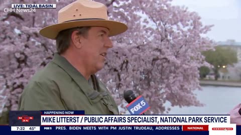 Thousands arrive in DC for National Cherry Blossom Festival