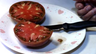 Taste Testing A Carbon Tomato and How It Did In Our Garden