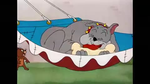 Tom _ Jerry _ A Bit of Fresh Air_ _ Classic Cartoon Compilation _ _WB Kids(240P)