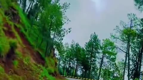 Murree Expressway Part 03 Murree Pakistan