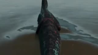 BEWARE The Deep Dinosaur!