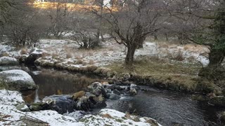 Ambient sounds of a river. DARTMOOR 15th Dec 2022