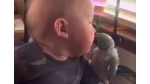 bebe loves bird / or - bird amq baby ??? What do you think???❤️❤️