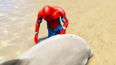 Spiderman saving dolphin