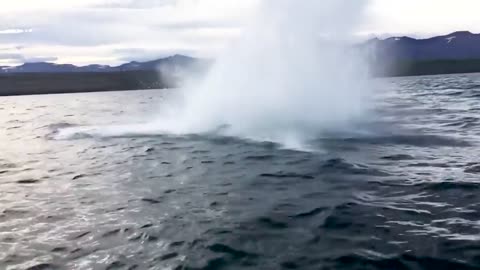 Giant Whale Jumps Out Of Nowhere - Incredibly Close Whale Encounters!-1