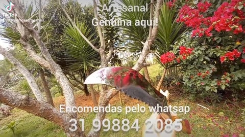 Quer faca artesanal genuina? É aqui.