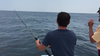 Shark fishing