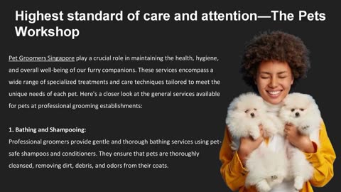 Highest standard of care and attention — The Pets Workshop