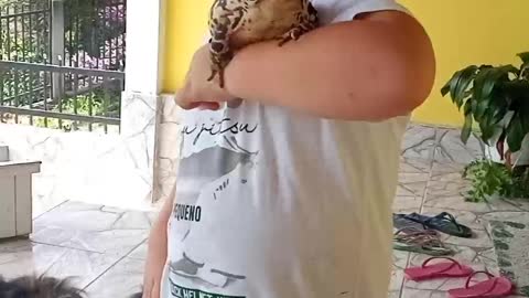 Kiddos Play with Huge Frog