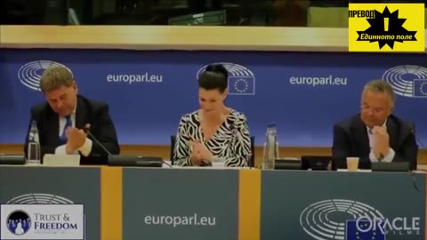 Фиона Хайн в Европейския парламент