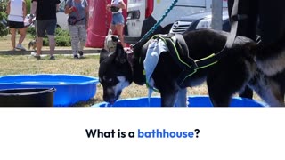 The different services offered at bath houses
