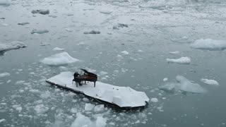 Piano player of the sea