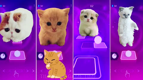 Cute Cat vs Cute Kitten vs Cute Cat vs Cute Cat Dance Tiles Hop EDM Rush!