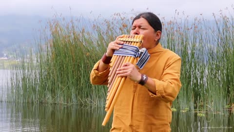 The Sound Of Silence by Wuauquikuna - Panflute - Toyos -