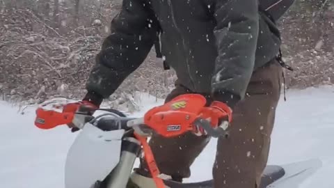 Pulling Out Dirt Bike in Winter Excites Dogs