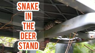 Deer Stand Snek