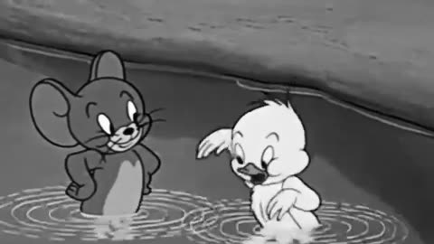 Tom and Jerry cartoon funny scen 😂😂
