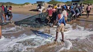 Sardines netted in Umgababa in KZN