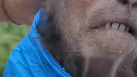 Monkey's beard set😂😂