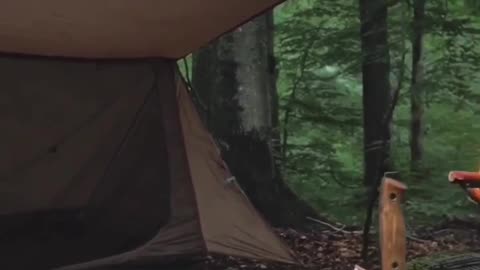 Nature camping