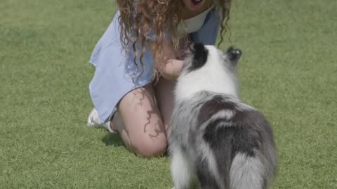 Entrenando a nuestro cachorros ( PARTE 1)