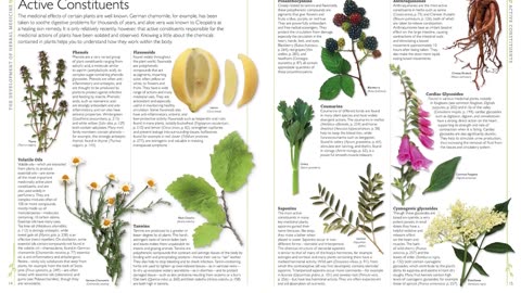 Natural remedies encyclopedia