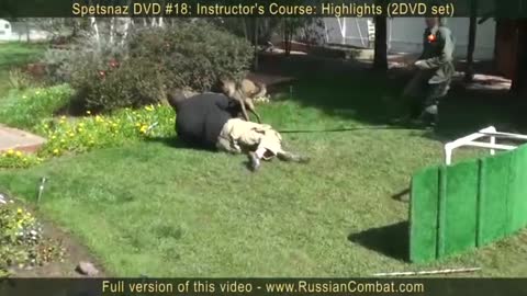 How to defend against a dog. Self defense against dog attack