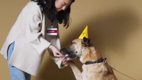 Cute girl celebrating her dog birthday