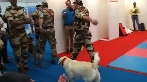 Indian military CISF demonstration of dog squad.