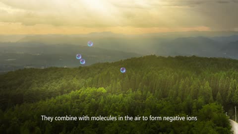 Negative Ions in Nature