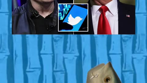 Elon Musk just unbanned Donald Trump and Andrew Tate from Twitter!